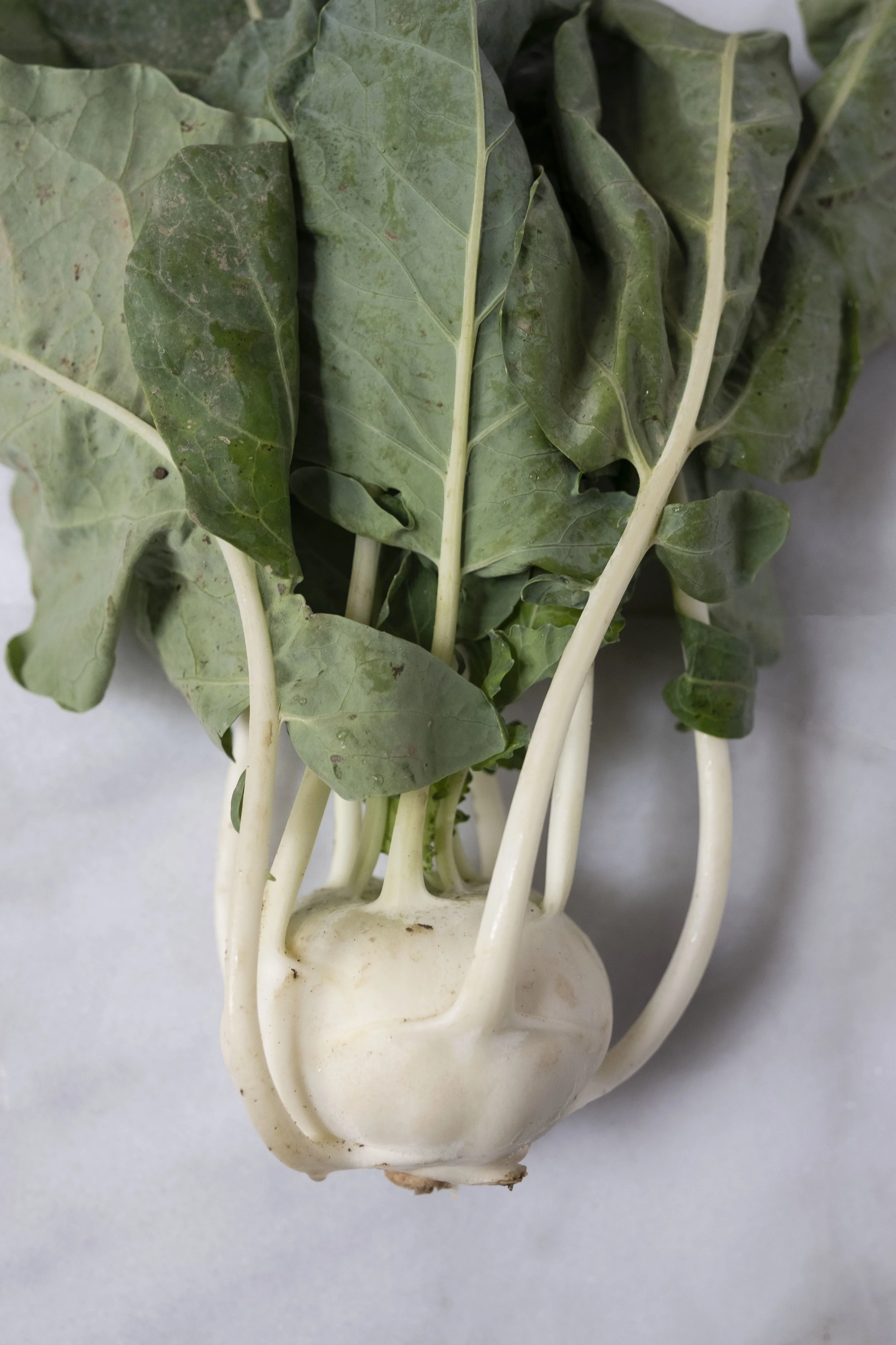 Get to Know Your Greens Kohlrabi + Kohlrabi & Radish Slaw with